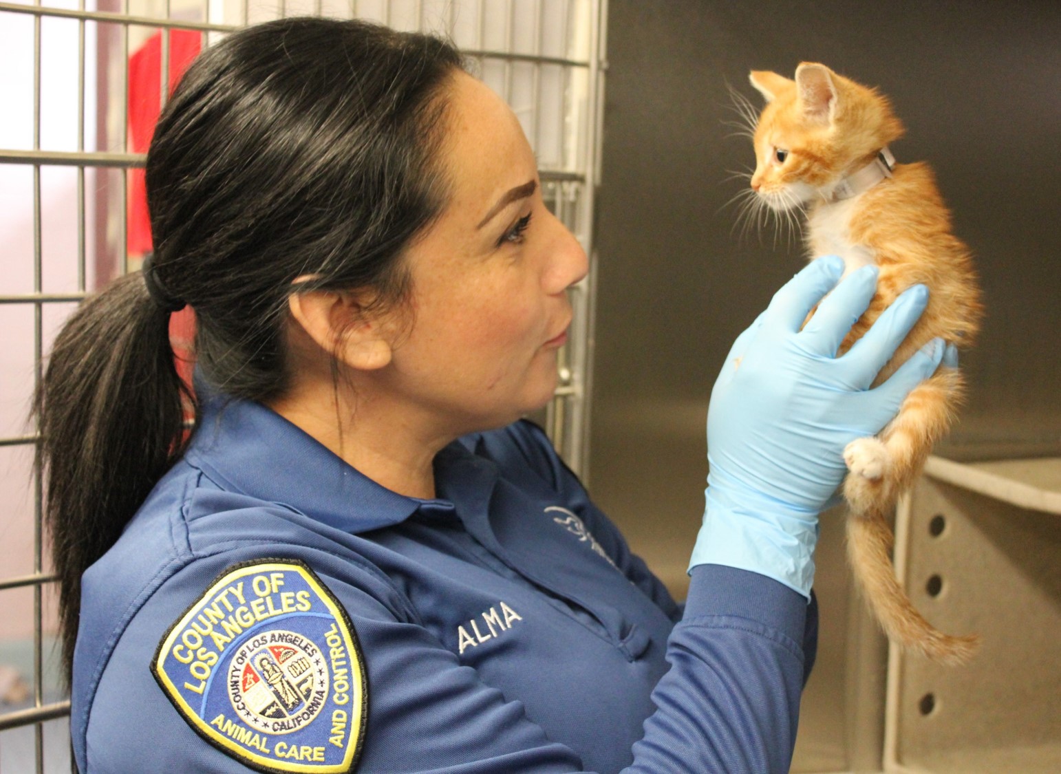 LA County Animal Care & Control Thrives During Challenging Times